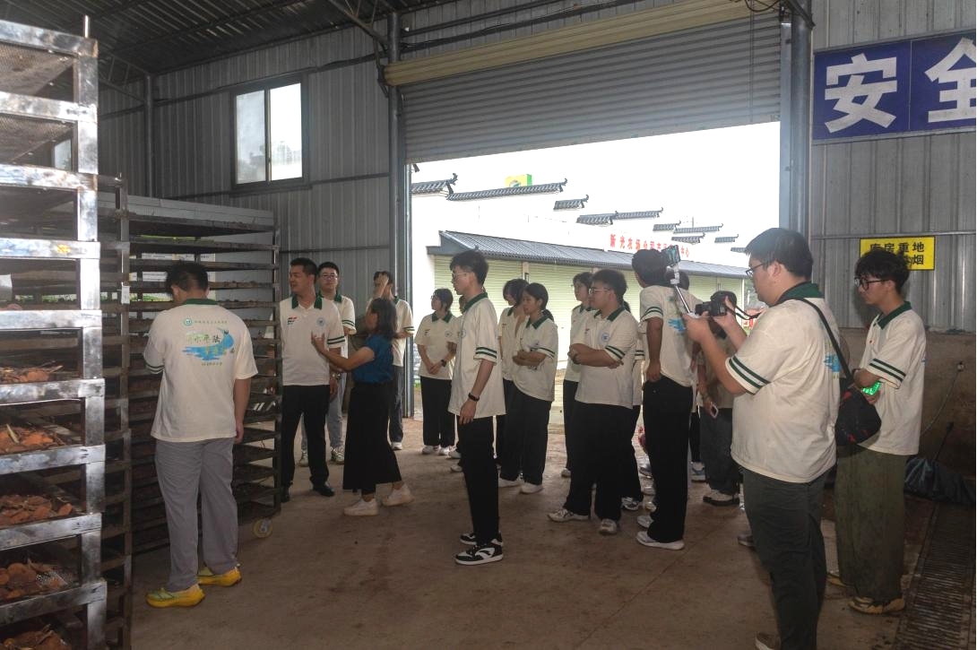 探尋綠色農業“靈山樣板”——桂林理工綠色發展倡導團桂味生態園行