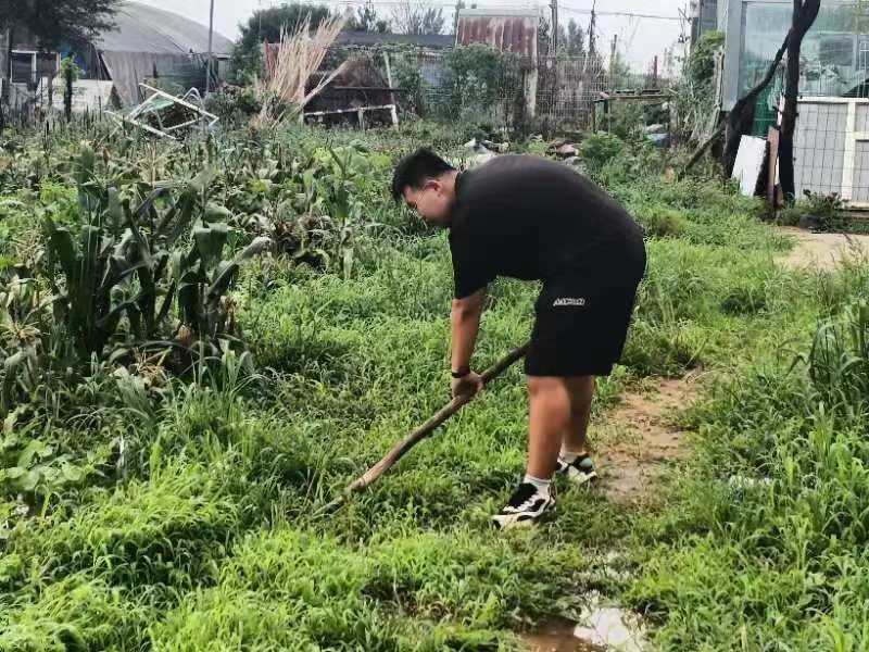 農學院青春“鄉”約社會實踐團開展農業救災復產工作