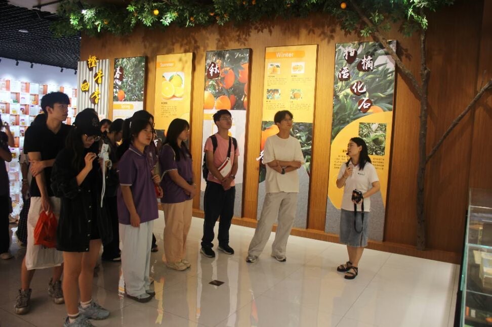 大學生探訪柑橘產業航母：屈姑集團全產業鏈實踐課揭秘秭歸臍橙的全球之旅