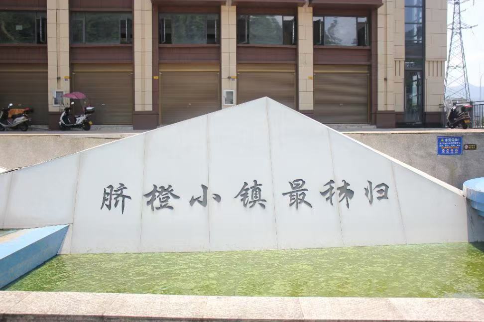 ? 橙就夢想：一幅鄉村振興的“秭歸畫卷”