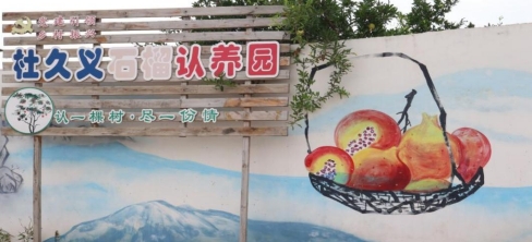 蚌院學子三下鄉：石榴園繪振興圖