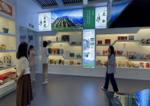 “隴上江南”實踐團踏足隴南電商尋蹤跡，一線調(diào)研實踐求真