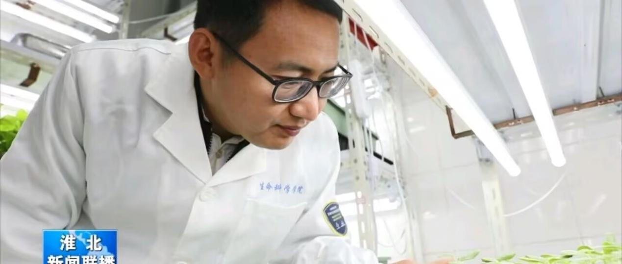 科技助農(nóng)種苗先行：五鋪農(nóng)場(chǎng)孕育農(nóng)業(yè)新希望