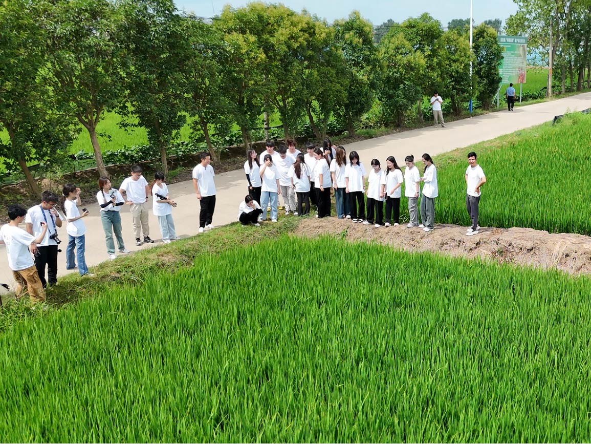 合肥大學(xué)經(jīng)濟(jì)與管理學(xué)院2024年暑期“三下鄉(xiāng)”社會(huì)實(shí)踐專(zhuān)題三——厚植三農(nóng)情懷，譜寫(xiě)嶄新篇章