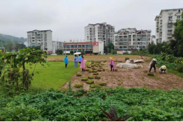 深植“厚壤”，頭頂“星空” ——重慶師范大學(xué)“三下鄉(xiāng)”社會實踐活動紀(jì)實（二）