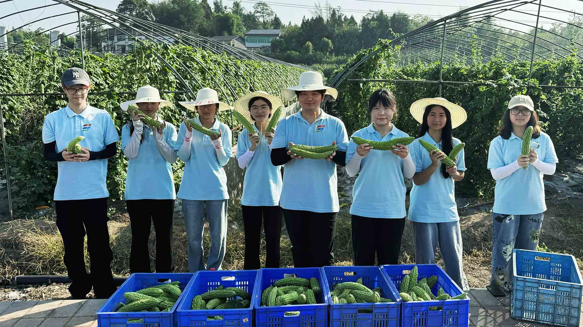 深入國梁鎮實踐 見證鄉村振興新圖景