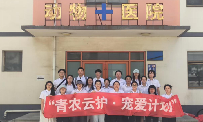 青春踐行 云護生靈——青島農業大學動物醫學院青農云護·寵愛計劃鄉村振興實踐服務團隊