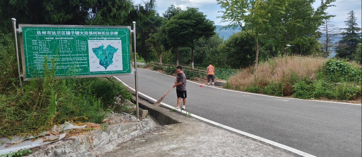 陽光暑期實踐：環保行動，青春奉獻