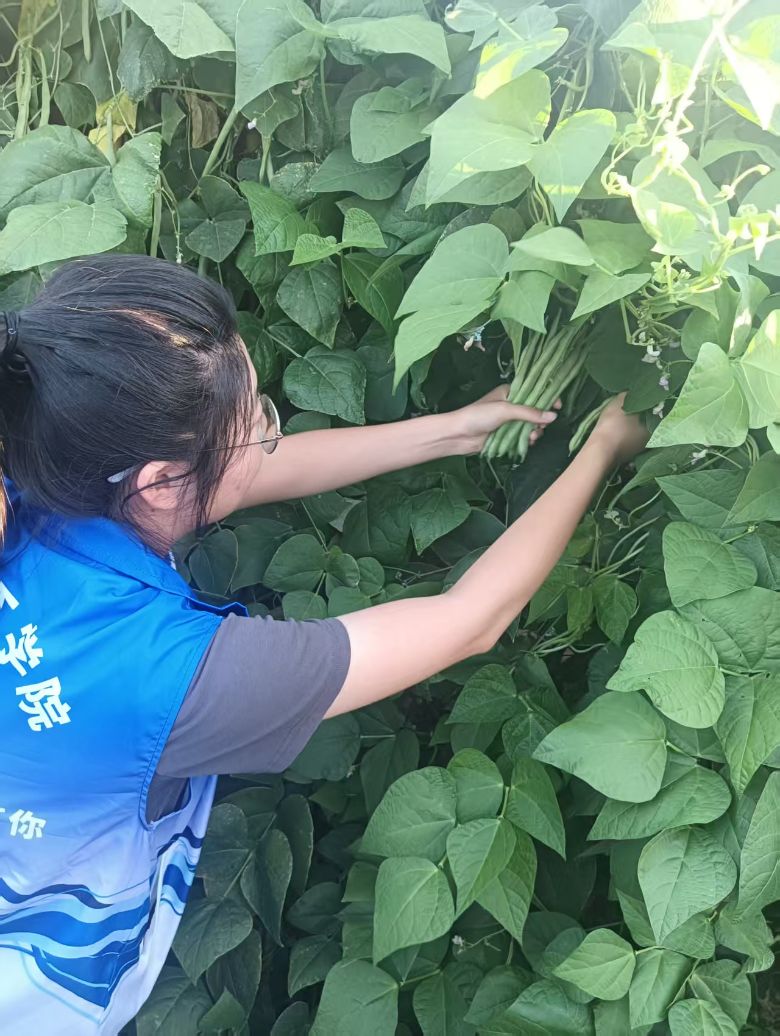 情暖養老院 紅韻潤童心 潔凈美社區——塔大化院學子一日志愿服務行
