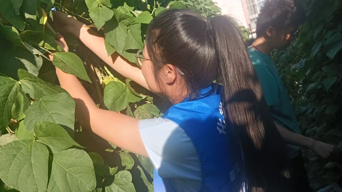 塔大志愿者公益一日行：助農(nóng)養(yǎng)老院 雙社區(qū)宣傳顯成效