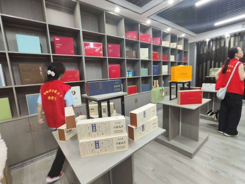 鄉村振興新啟程：中醫藥文化為筆，繪就鄉村健康美麗夢