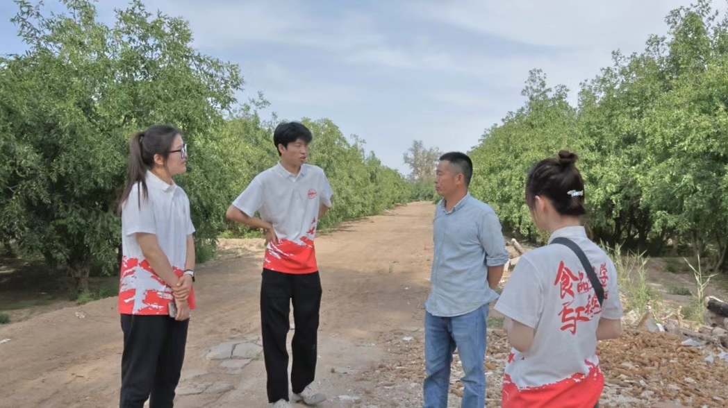 塔大學子三下鄉|強國必先強農，農強方能國強