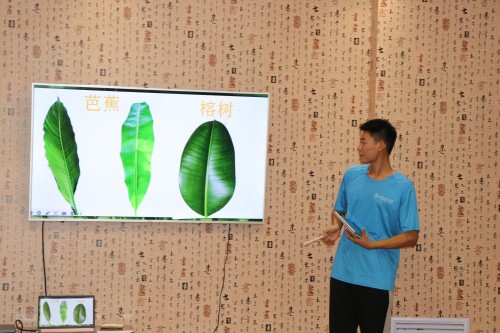 探索植物奧秘，領略環保魅力