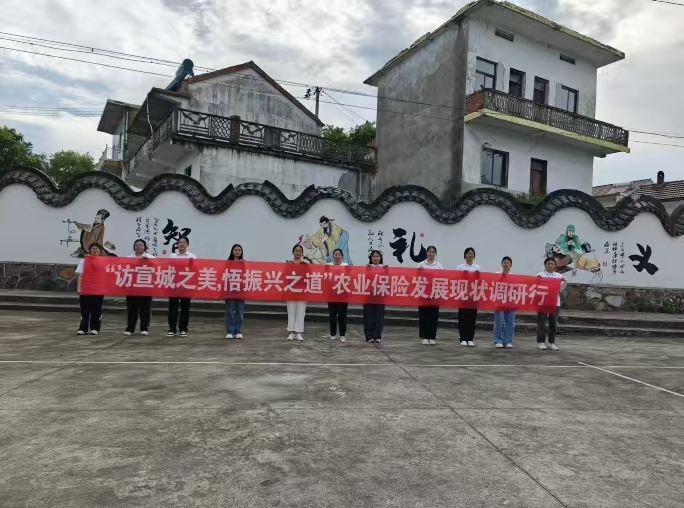 共探朱橋“新”農險，鄉村振興繪新篇——亳州學院經濟與管理系赴宣城市宣州區朱橋鄉開展“三下鄉”實踐活動