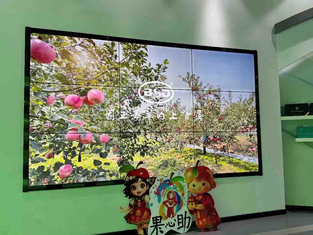 果心助“藝耘阡陌·彩助農興”社會實踐隊赴煙臺市棲霞開展調研活動