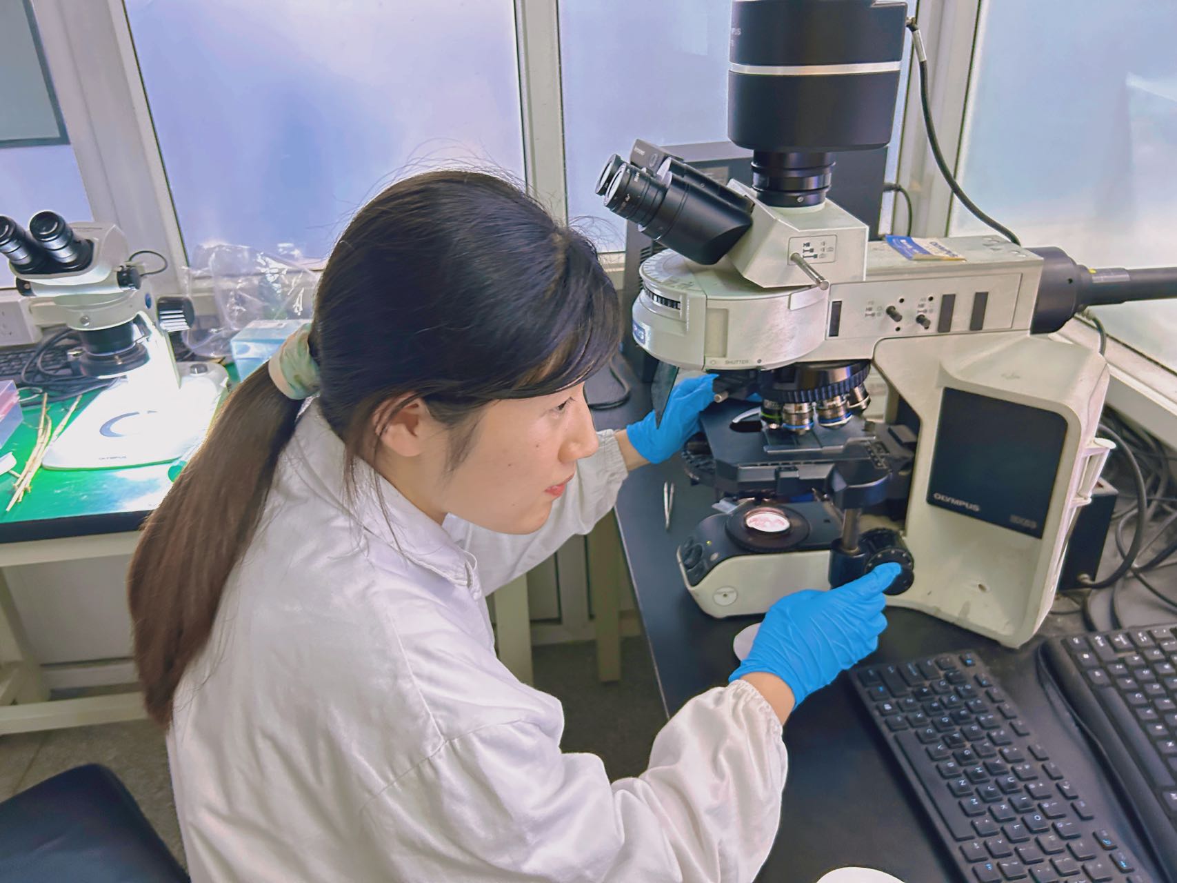 西農學子——心系病害菌源形成，共筑糧安天下基石