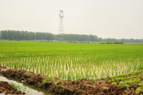 沂蒙精神代代傳，鄉村振興啟新篇——走進臨沂新時代鄉村治理
