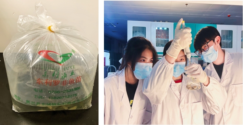 佛大學子智慧啟航 科技賦能都斛漁業