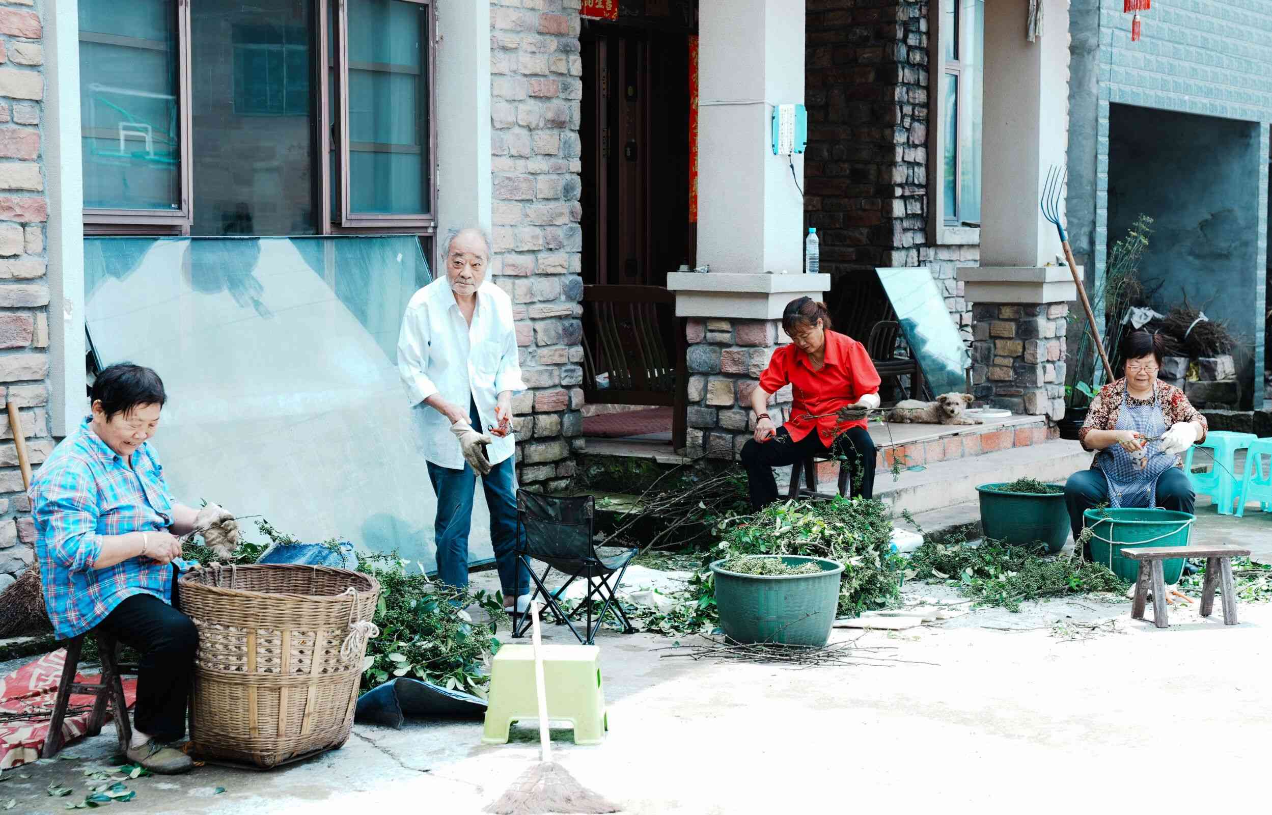 訪談鄉野走山間，遍尋民意成心愿——零碳鄉村HUA廢為保鄉村振興青年實踐團暑期“三下鄉”社會實踐活動