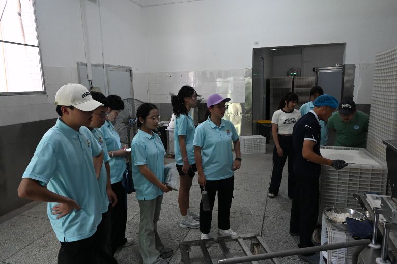 福建農林大學學子古田實踐：以科技解鎖銀耳產業鏈