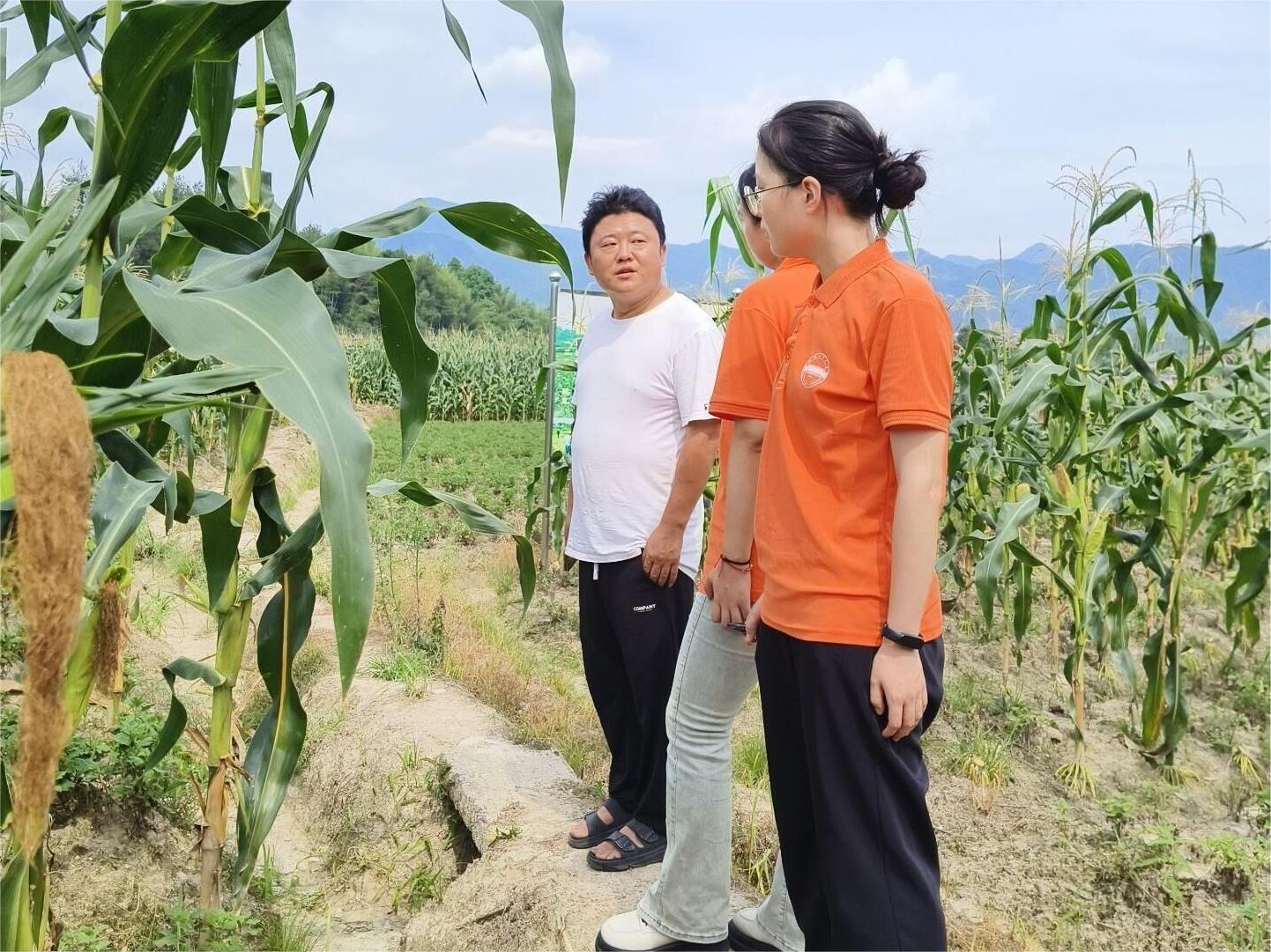 合肥工業大學學子三下鄉：長安宜居夢，和美鄉村興