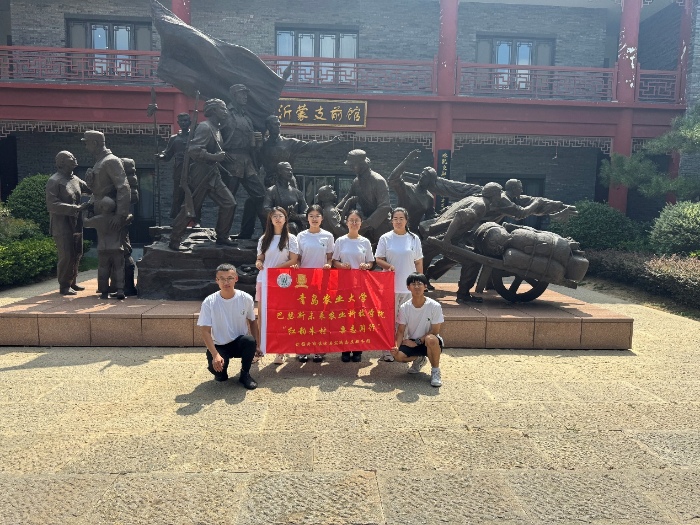 青島農業大學巴瑟斯學院“紅韻朱村，栗志同行”實踐團：以青春腳步丈量紅色朱村，以科技