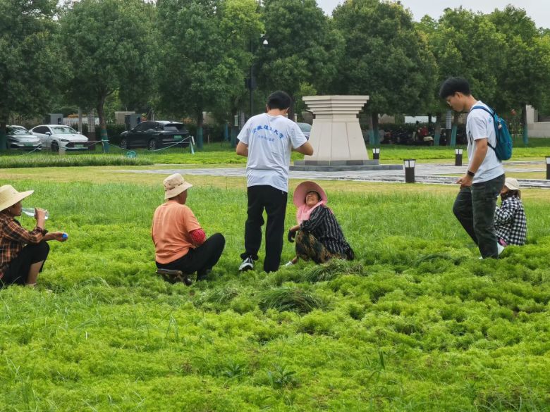安徽理工大學團委：守護楚風漢韻，共筑古建新生