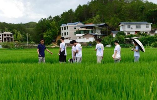 集美大學“傾潭振汀”實踐隊赴長汀紅色舊址群參觀學習、南坑村實地調研