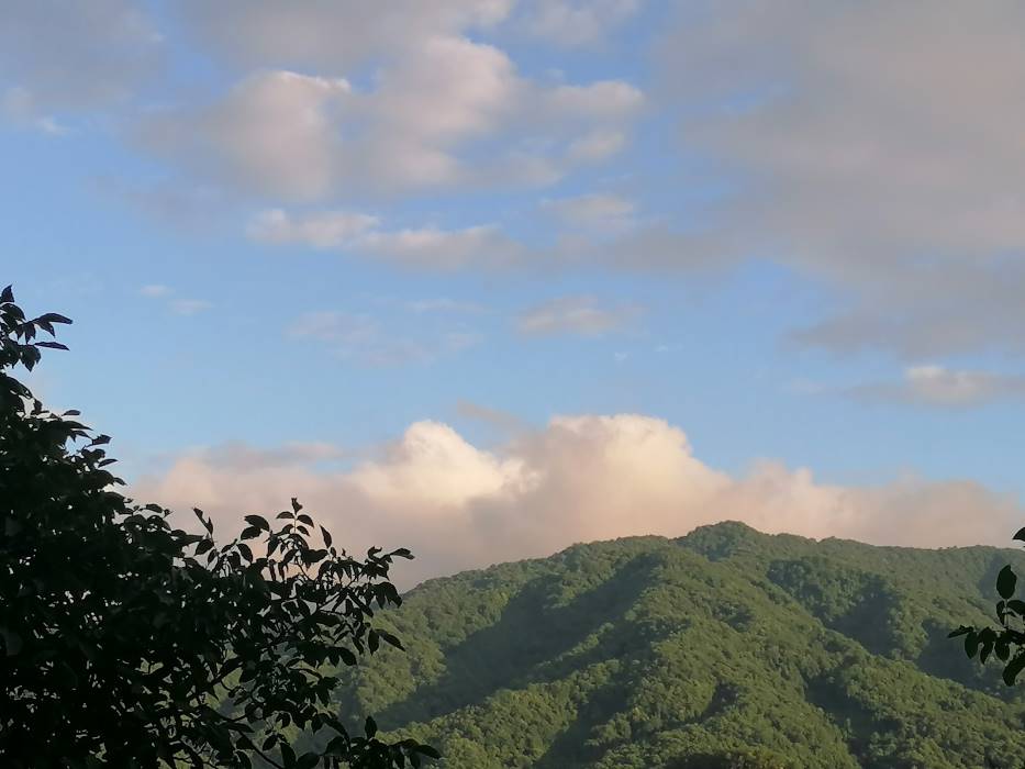 穿梭千年，文物“活”在當下 ——蘇州大學“哲學+”實踐團走進天水市仙人崖石窟