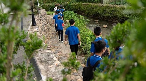 集大輪機學子三下鄉，見證鄉村振興的璀璨成果