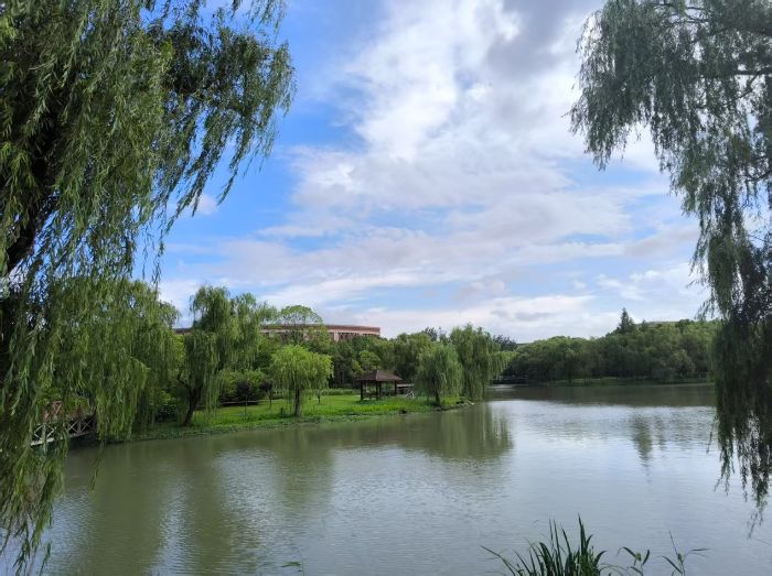 跨城數(shù)據(jù)繪生態(tài)圖譜——“綠水青山”的民生價值