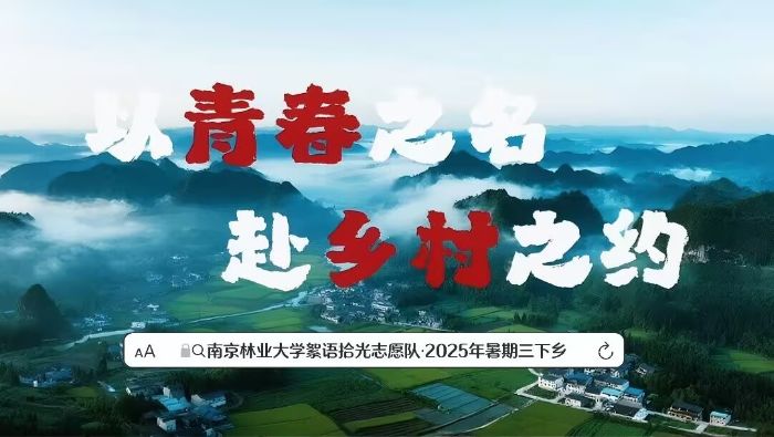 南京林業大學青年大學生絮語拾光志愿隊：六地同心，用青春初心繪就鄉村暖卷