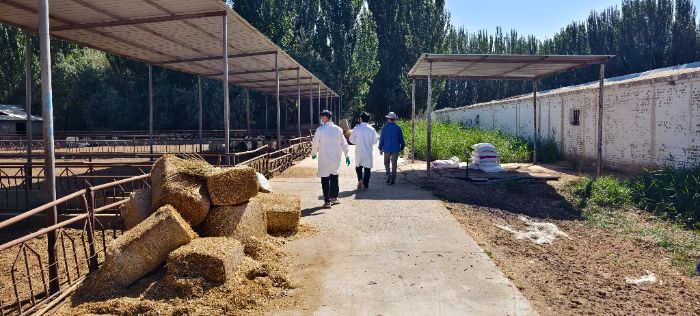 深化調研扎根鄉土，科技賦能助力振興
