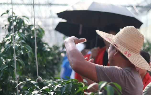 安徽理工大學(xué)學(xué)子深入九村一線(xiàn) 把脈鄉(xiāng)村振興新圖景