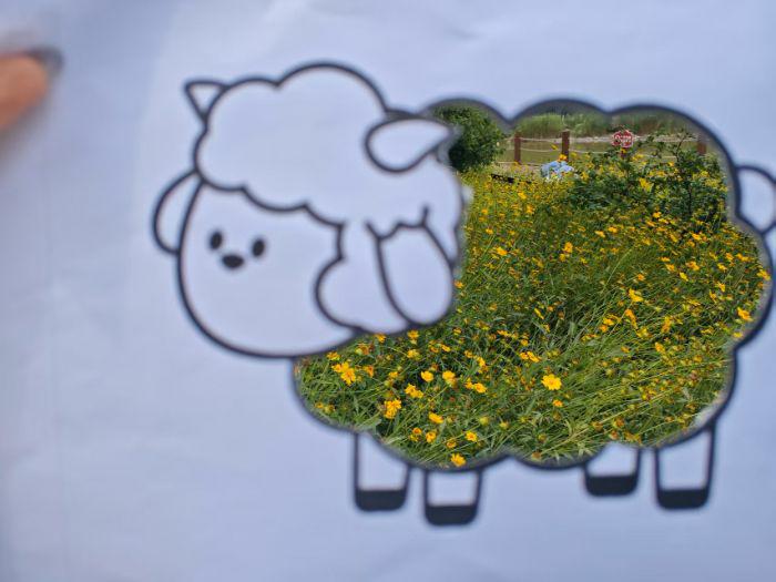 青春醫行踐初心，基層健康譜新篇——大學生“醫心相伴，健康接力”志愿服務團暑期三下鄉紀實