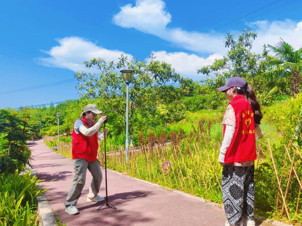 　　(圖片九)