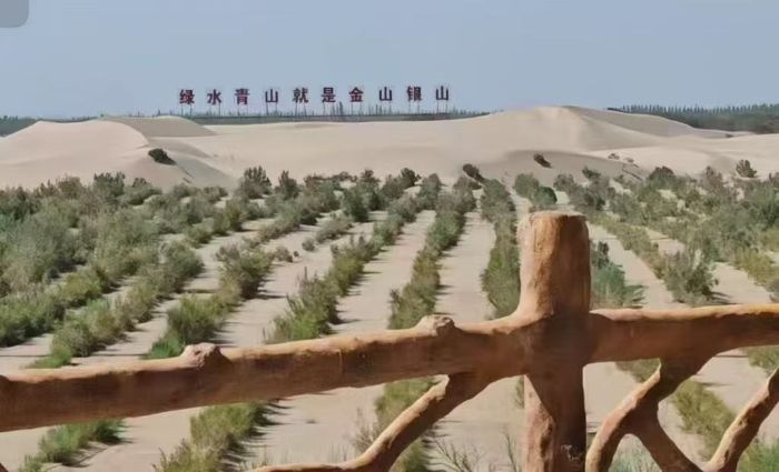 青春力量扎根邊疆 沙海織綠共譜新篇