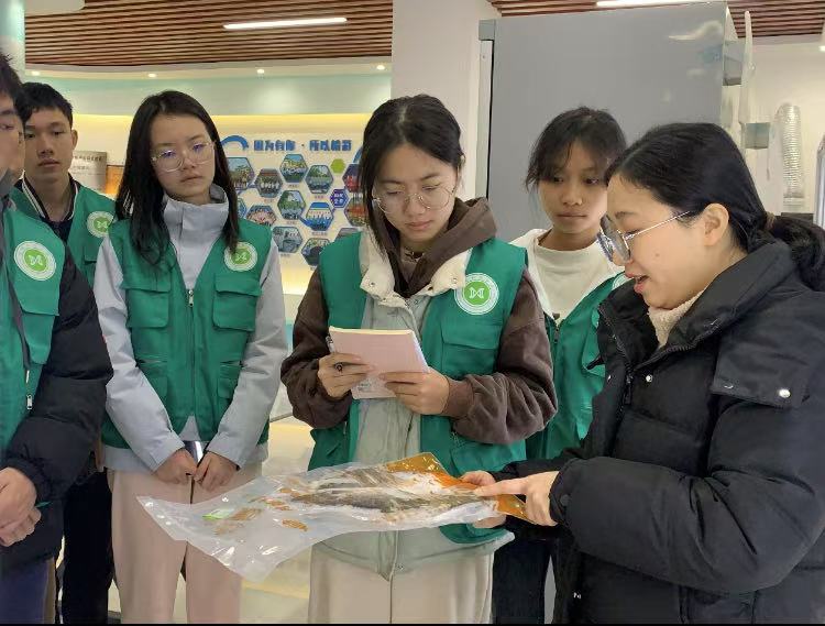 佛山大學“漁”躍鄉村實踐團：走進明基水產，探索漁業發展新航標