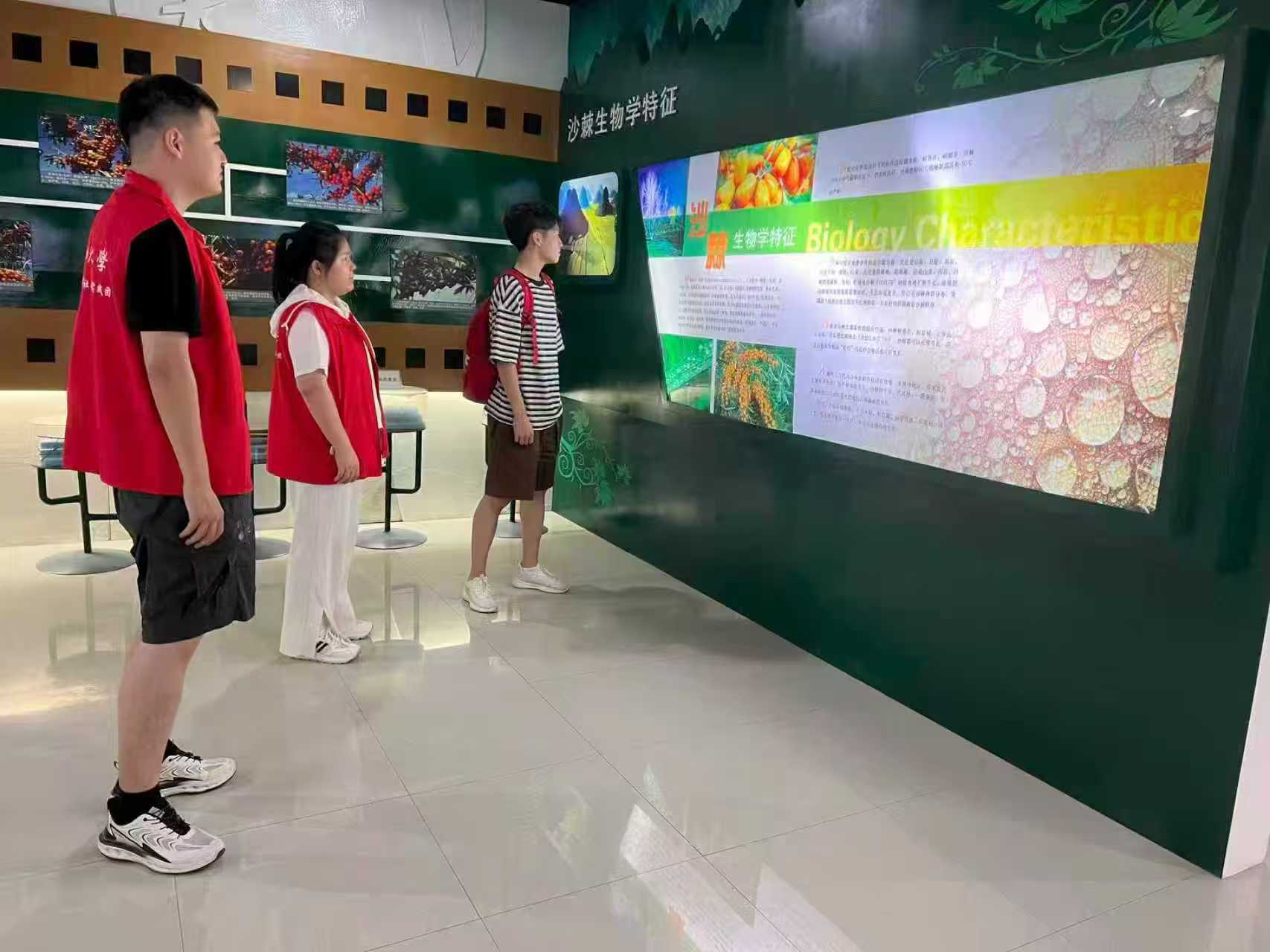 “棘”往開來，綠野生金——東農實踐團依托大果沙棘助力鄉村振興