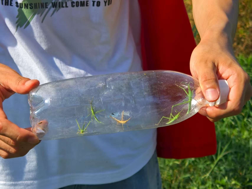 青春助力鄉村振興 ——“生生不息”鄉村生態文明建設實踐團總結篇