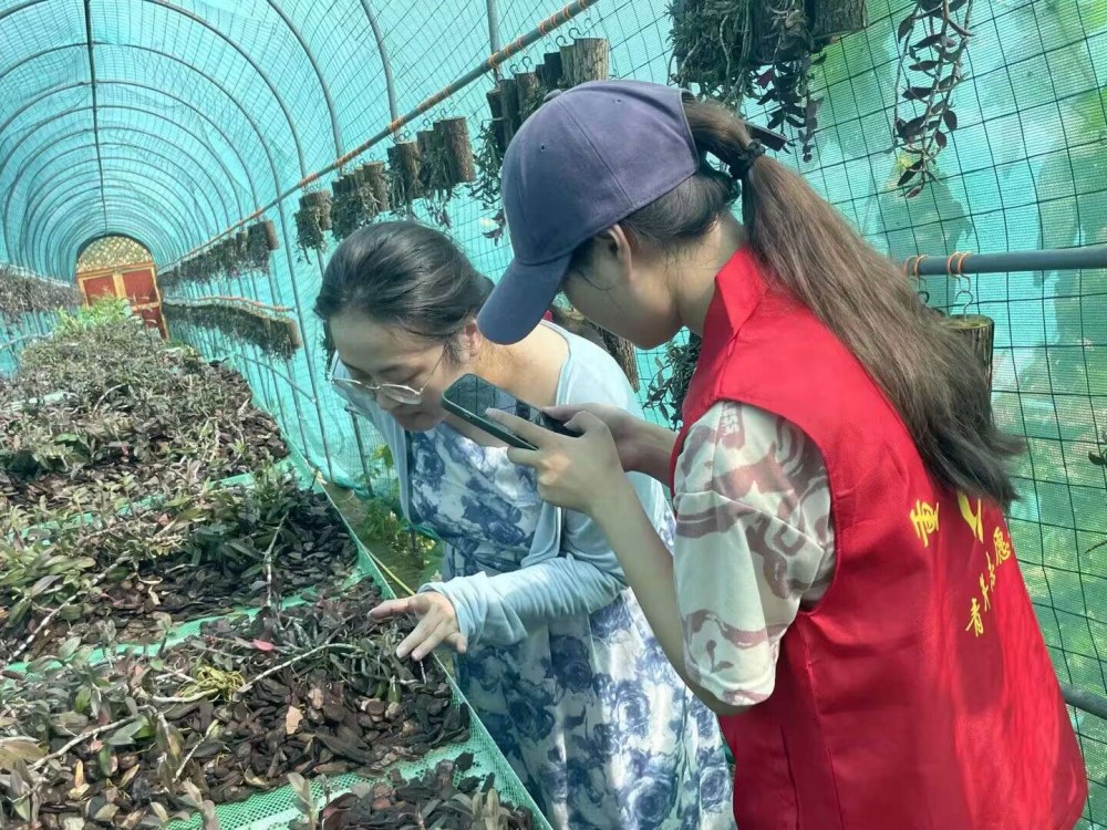 　　(圖片十三)