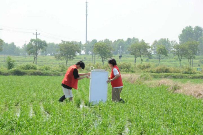 兩日兩鎮(zhèn)探農(nóng)情，青春聚力助振興 ——南農(nóng)GEF小分隊六合實踐紀(jì)實
