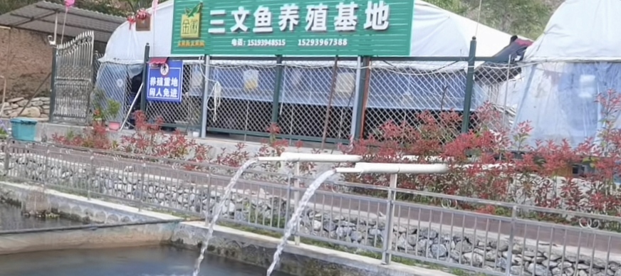 塑造甘南“特色品牌”，擴寬群眾增收大道。
