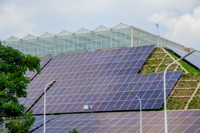 濰職學(xué)子三下鄉(xiāng)：“智繪鄉(xiāng)居?影存溫情” 用人工智能點(diǎn)亮鄉(xiāng)村振興路