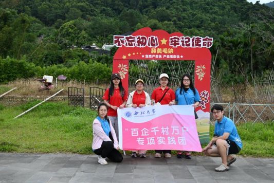 五指山茶香飄遠，多村寨以茶為媒，激活鄉村振興新動能